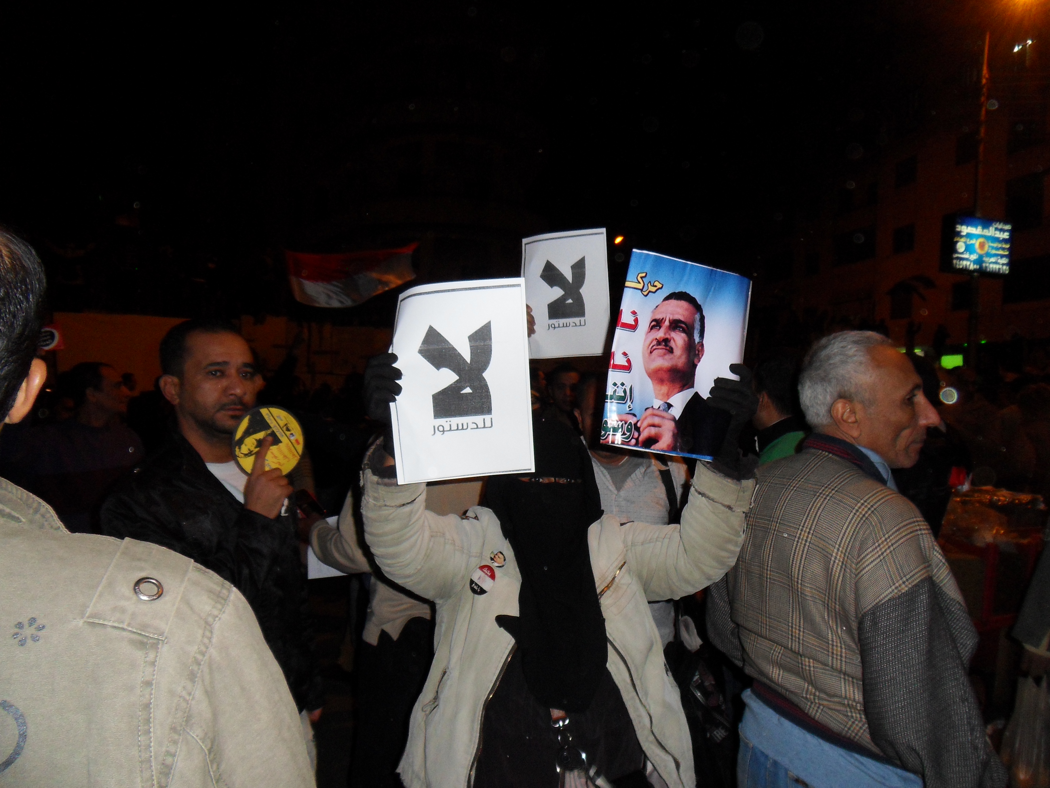Surprising: A woman wearing the niqab protesting against Morsi. The sign simply reads "No."