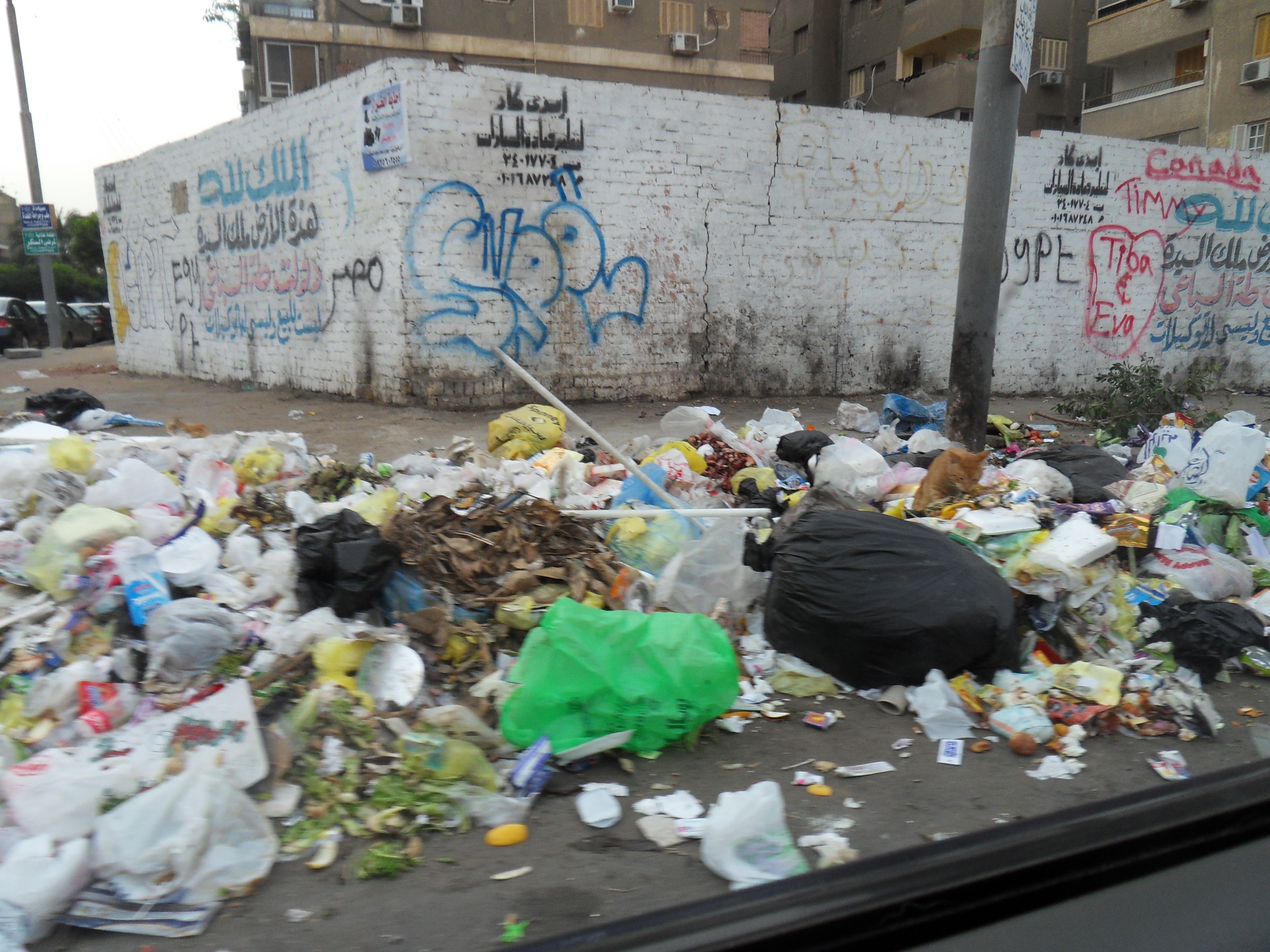 Welcome to Cairo. The City of a thousand garbage piles.