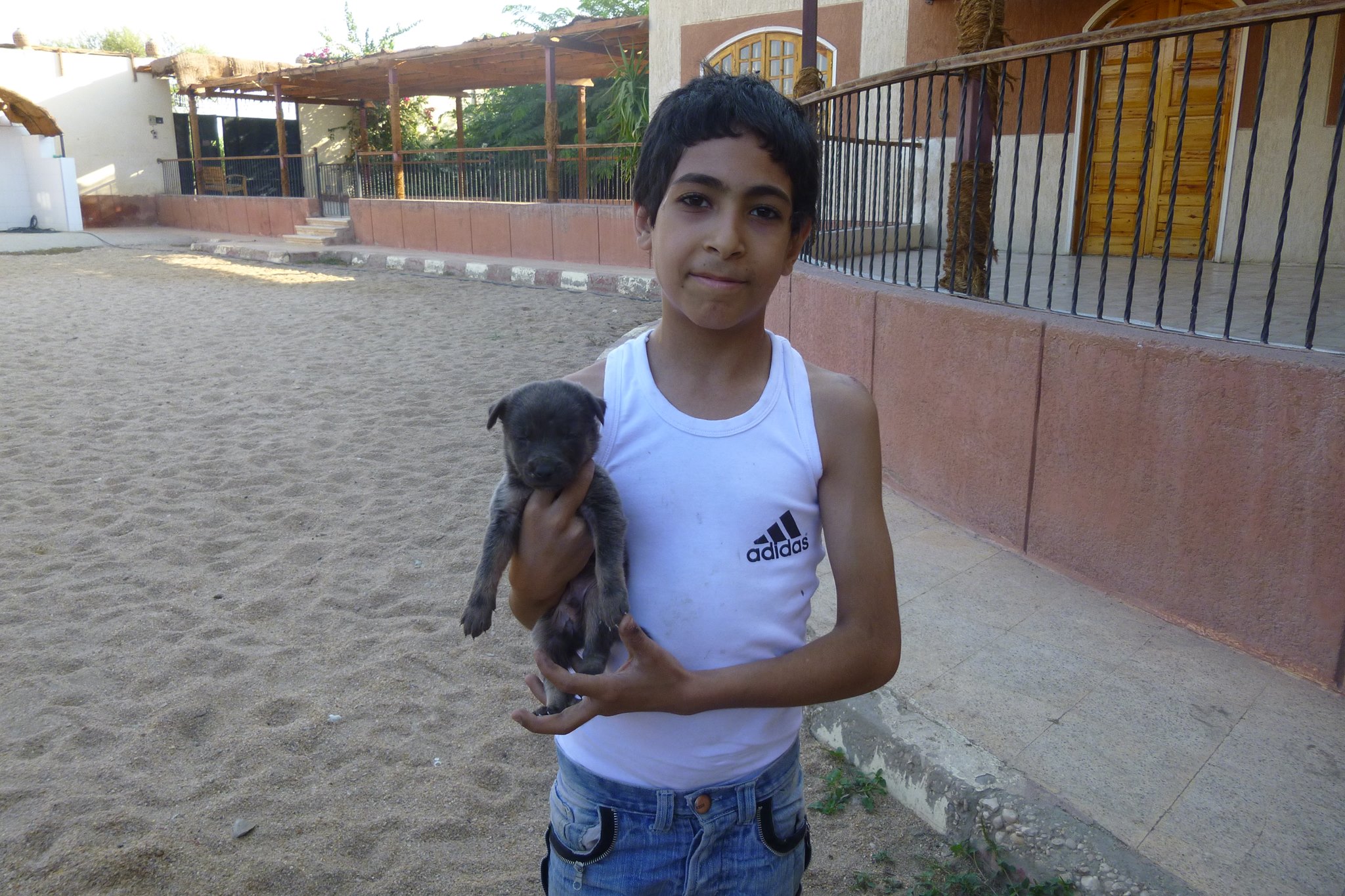 This is Mahmoud. Mahmoud was cycling with his cousins when he heard cries coming from disposed rubbish. He found this little puppy and brought him straight to ACE for a health check. Mahmoud named the puppy 'Rex' and now takes care of him with the advice of ACE.