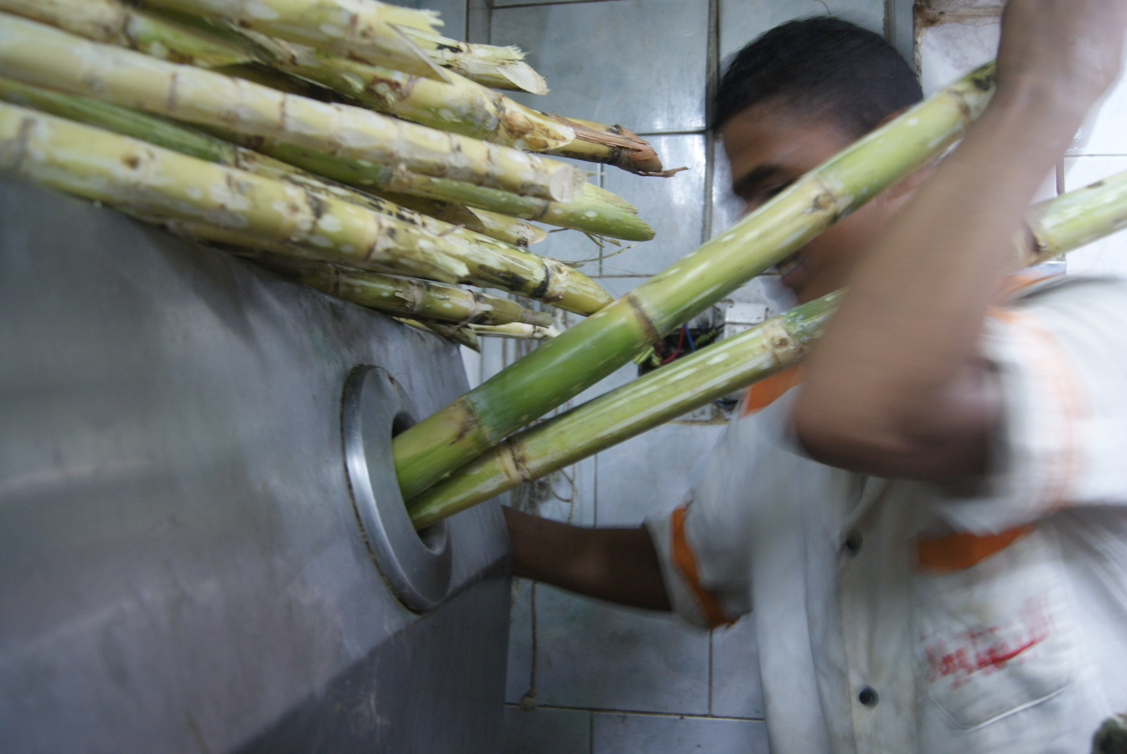 Sugar cane juice is extracted by introducing the sticks into the machine.