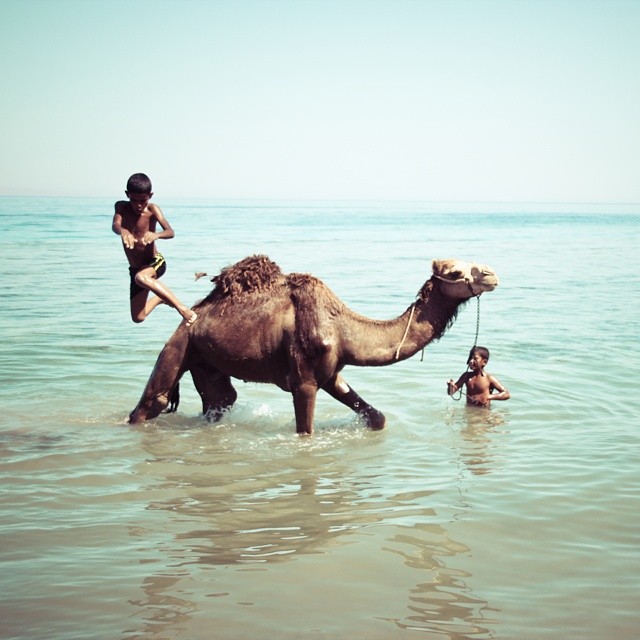 Photo by Shadi Rahimi: For me, being in Egypt has often meant communicating without words, and my taking of photos has shifted over the years from urgency to meditation. In light of all that's taking place now, I find myself seeking joyous moments to capture, the counter-narratives. Coming upon these two Bedouin boys giving their camel a bath in the Red Sea in Dahab, before climbing on its back to dive into the water, as it stood serenely still, was a beautiful scene I'll treasure forever. One of my favorite novelists writes that the greatness of God reveals itself in the simple things. That's what this photo expresses to me.