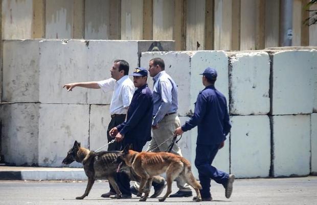 Egyptian bomb disposal experts use dogs as they check the area following a bomb blast in the vicinity of the Ittihadiya palace in Cairo, on June 30, 2014 Credit: AFP