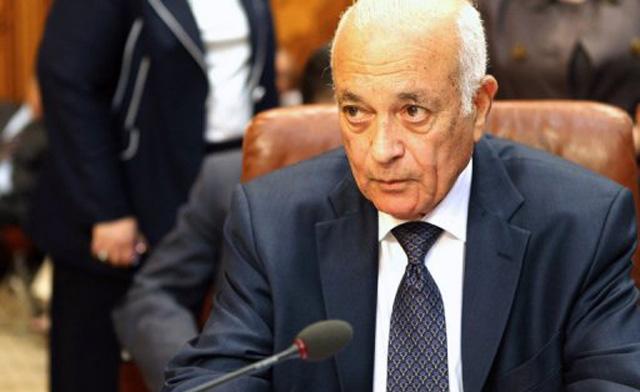 Nabil al-Arabi, Arab League Chief. Photo: AFP