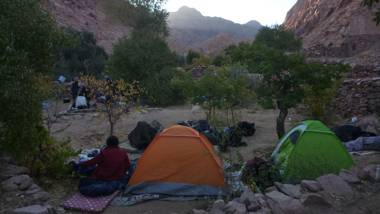 Camping in an ancient Bedouin orchard in Wadi Zawatin