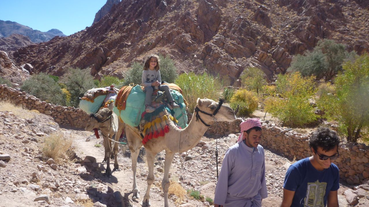 Layla Farid, the youngest hiker of the event, on a camel in Wadi Zawatin
