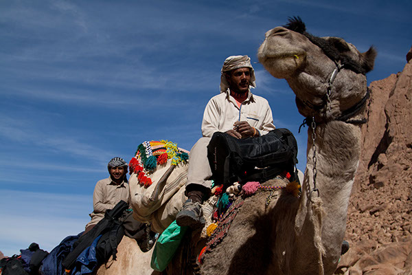 In the rocky paths on St Catherine, camels are still the only possible means for commuting