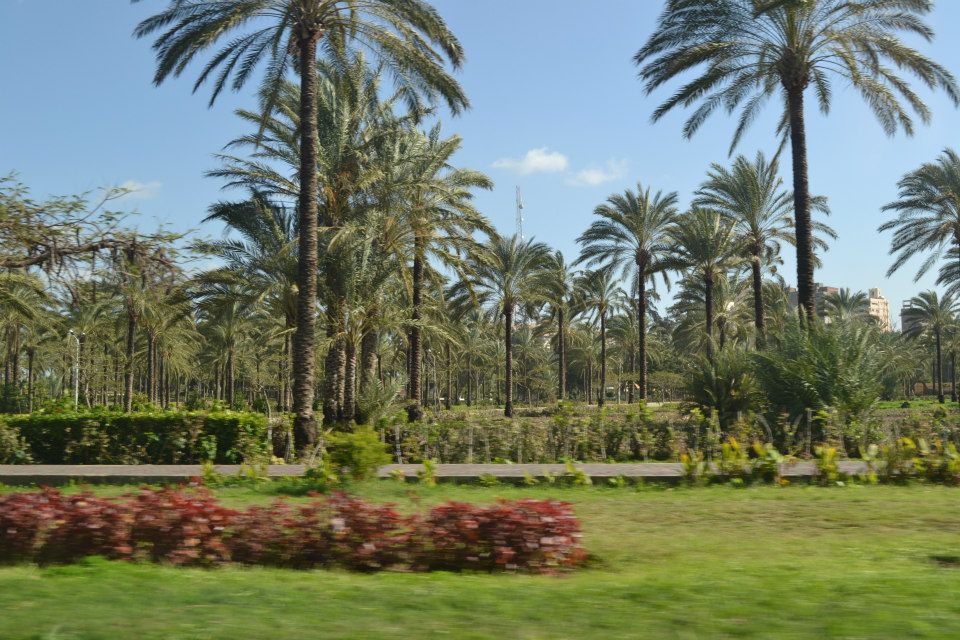 Inside Al-Montaza Park