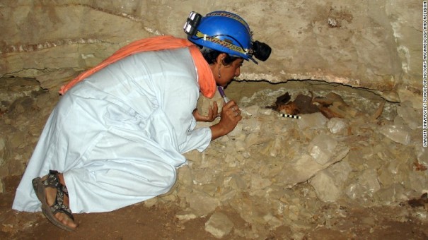 Archaeologist Salima Ikram examines the mummified remains of an adult dog in a wall niche/Cardiff University