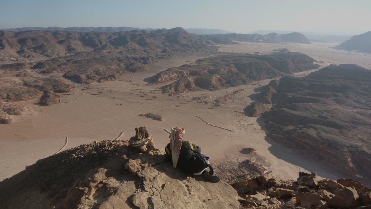 Bedouin guide gazing over the desert 