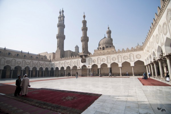 Al Azhar - Egypt's foremost Islamic authority - has recently expressed unease about GID cases