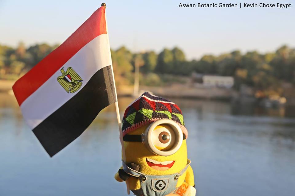 Kevin, originally known as Stewart in the movie 'Despicable Me', has been touring Egypt with his human friend Judy since 2013. 