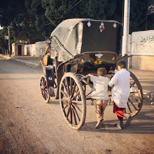 Horse carts on the streets of Maghagha city in Minya. Photo by Mohamed Ali Eddin