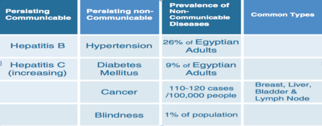 Figure 2: Prevalent Diseases in Egypt Source: WHO 2013