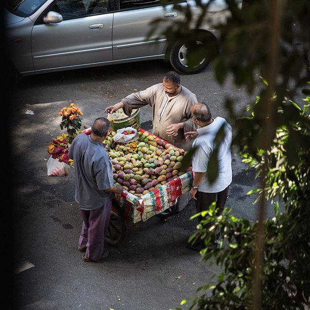 Fruit stall in Zamalek. Credit: Everyday Egypt