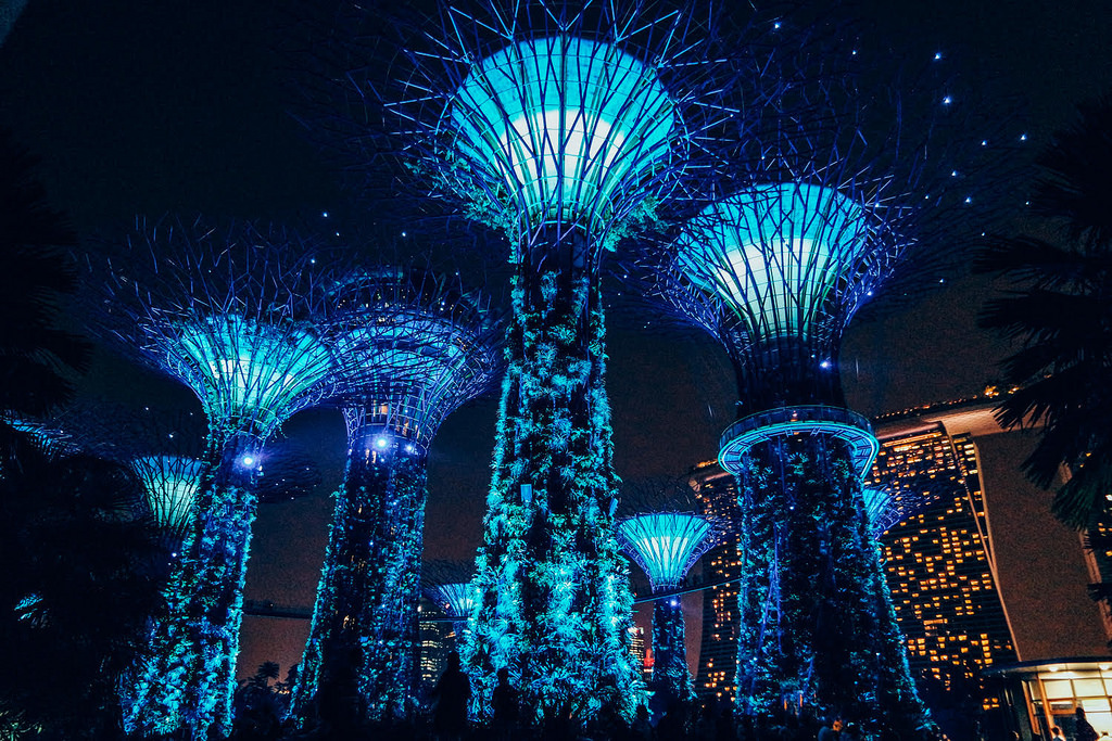 Gardens by the Bay Supertrees, Singapore. Credit: Gardens by the Bay/ UN Information Centre/ Flickr