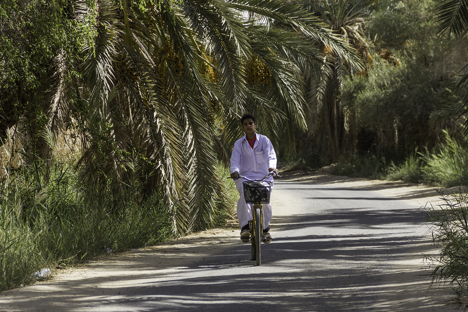 Khaled from Siwa commuting on his bike similar to most visitors and locals