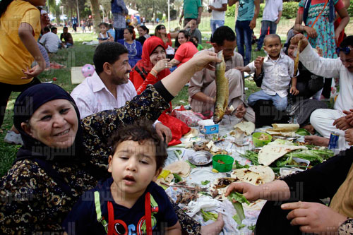 An Egyptian family enjoys a Sham El-Nessim picnic at the International Park in Nasr City. Photo: Ahmed Abdel Fattah, Al-Shorouk