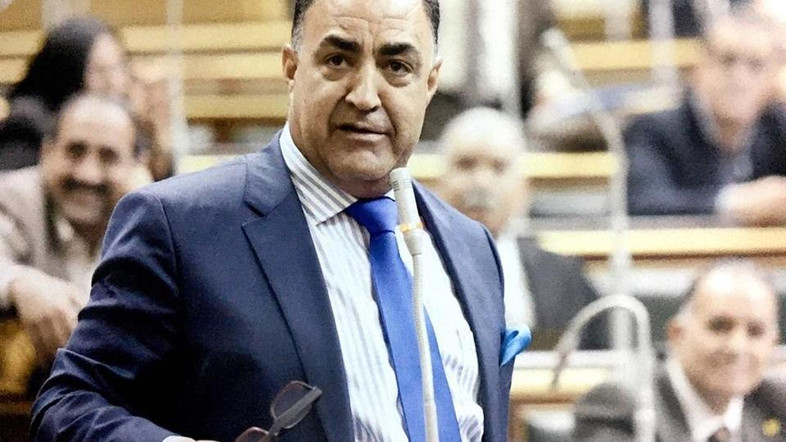 Member of Parliament Elhamy Agina