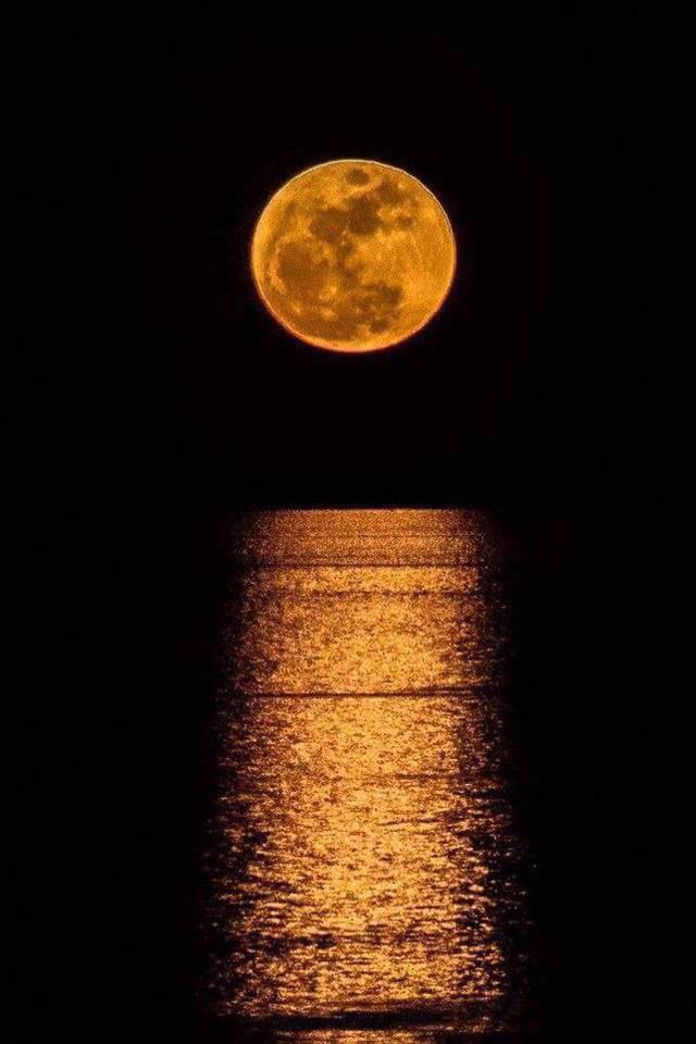 The supermoon over the Red Sea. Photo: Mohamed Salah El Din