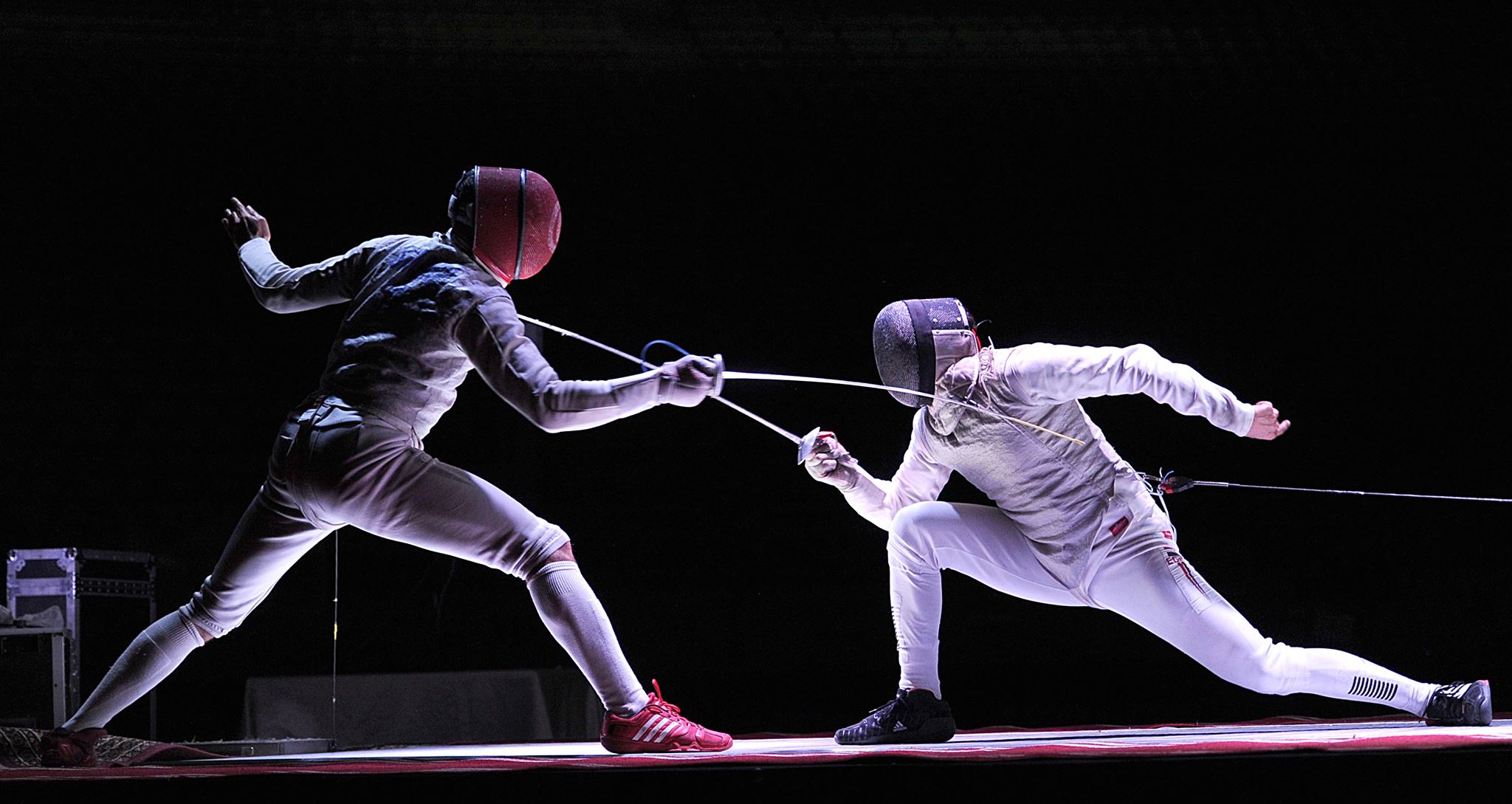 Fencing 