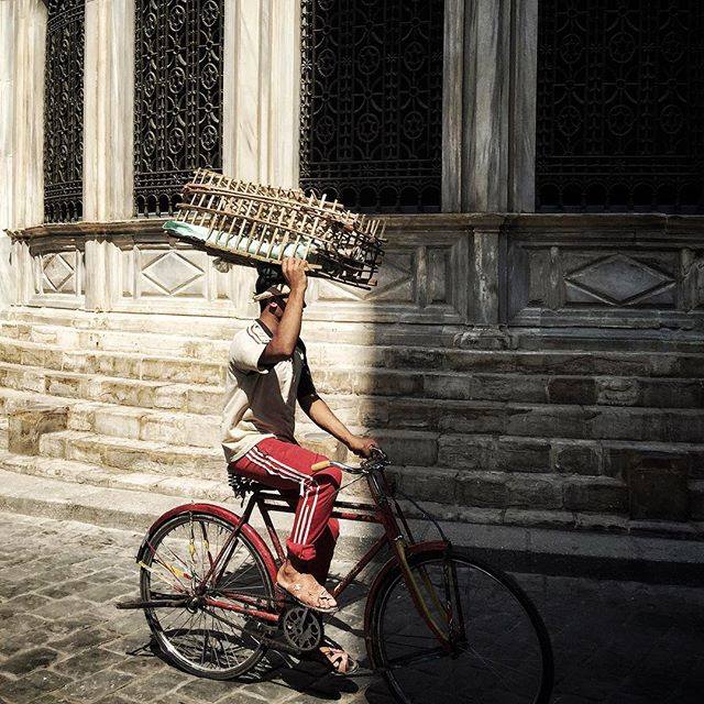 A man uses the bicycle to get around El Moez Street in Cairo. Photo by Pan Chaoyue