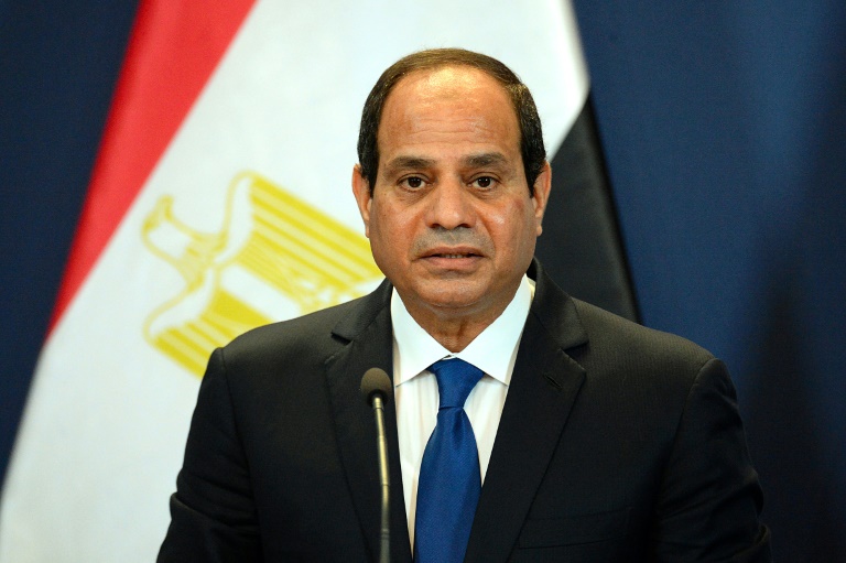 Egyptian President Abdel Fattah al-Sisi speaking at a press conference. (i24 News)