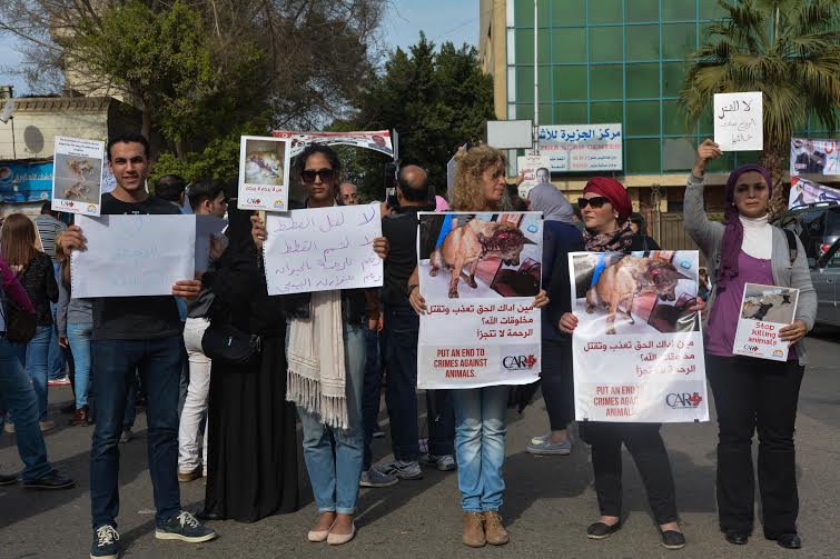 Protestors at Al Ahly club