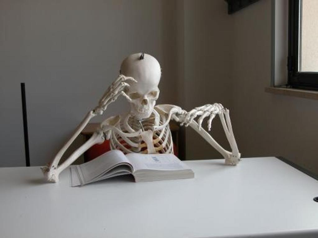 SkeletonReading