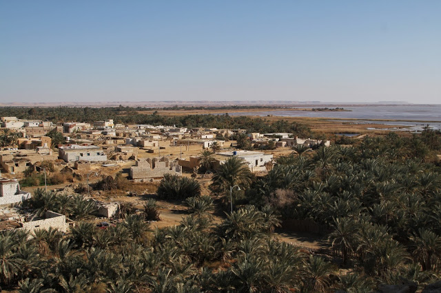 View from the top of the Temple of the Oracle in Aghormi, Siwa. Credit: Enas El Masry