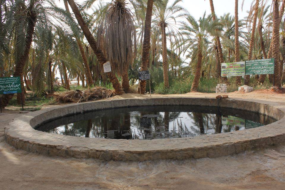 Siwa Oasis Land Of Beauty Tranquility And Olive Trees Egyptian Streets