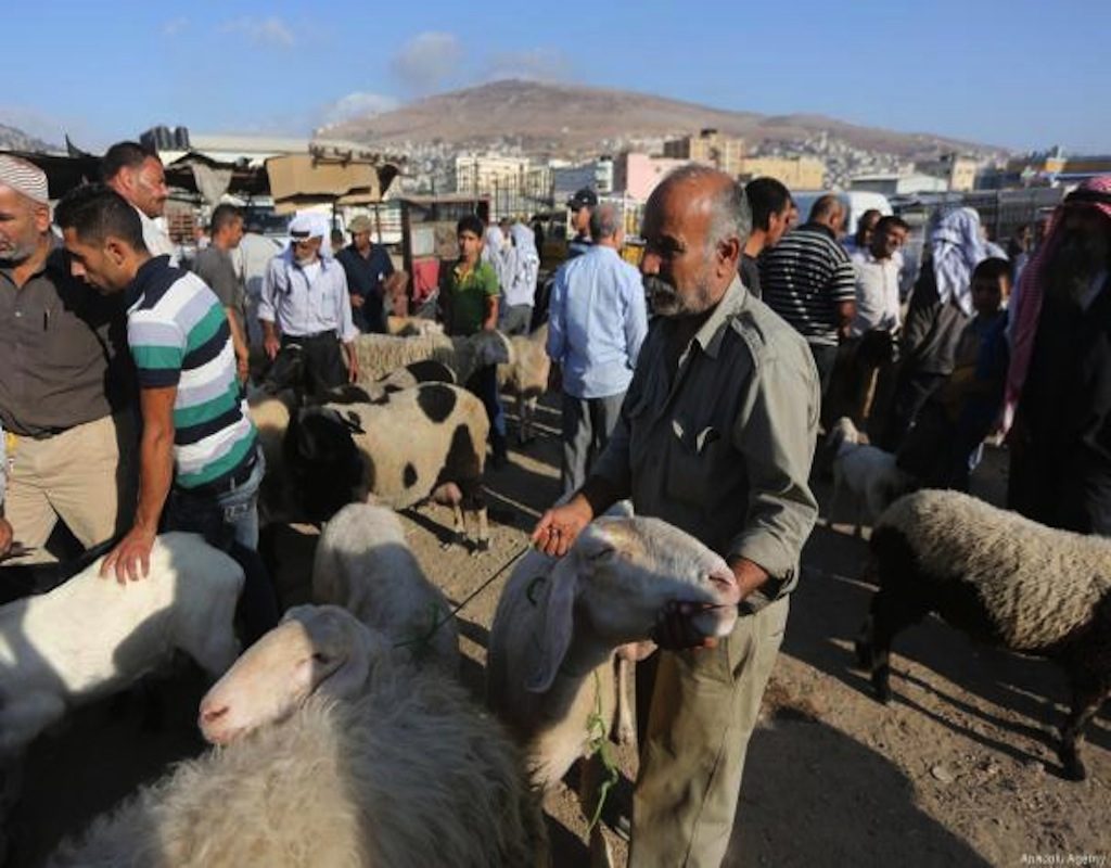 Vegetarians Can Celebrate Eid Al Adha Too | Egyptian Streets