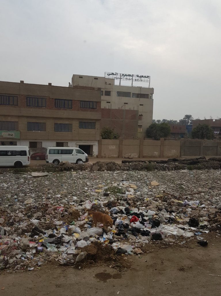 Streets of Egypt to Be Cleared of Garbage Within Three Months ...