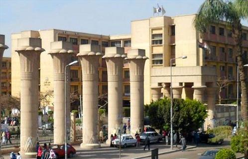 Ain Shams University S Art Faculty Creates A Facility To Help