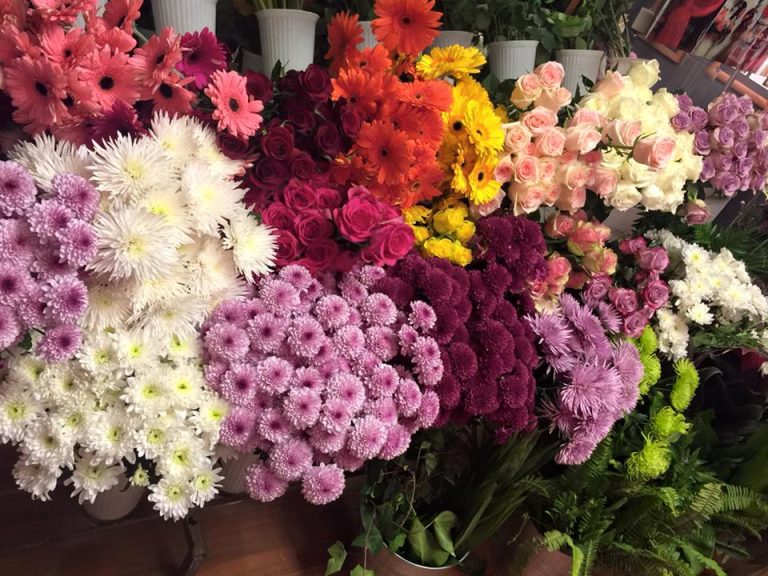 A Guide to Cairo’s Top 3 Flower Shops Egyptian Streets