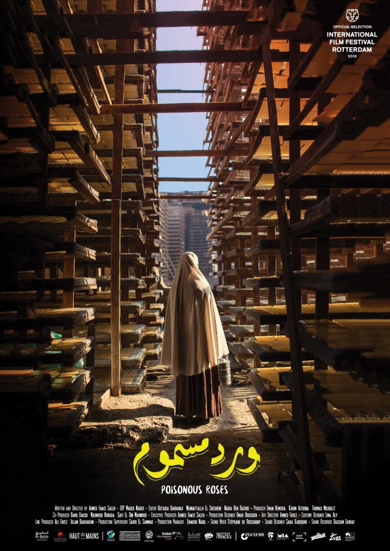 The Best Egyptian Films of the 2010s Egyptian Streets