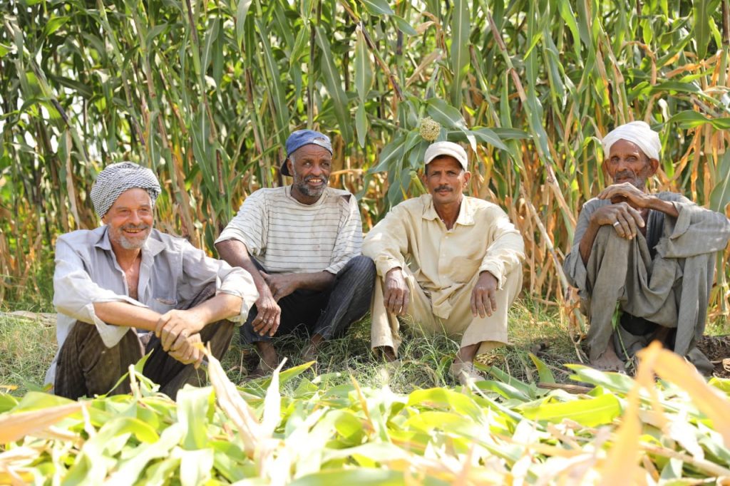 In Photos: A Visual Tale Of Luxor’s Agricultural Transformation ...