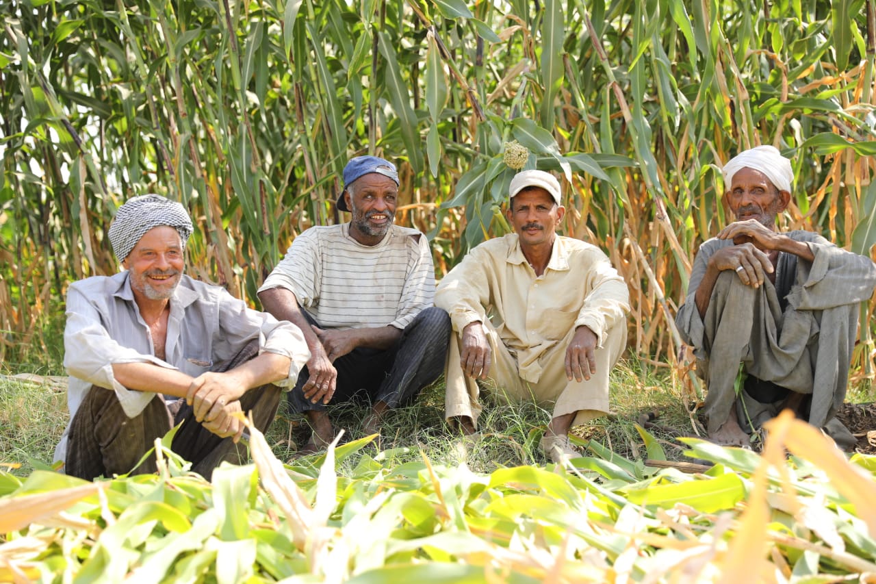 In Photos: A Visual Tale of Luxor’s Agricultural Transformation ...