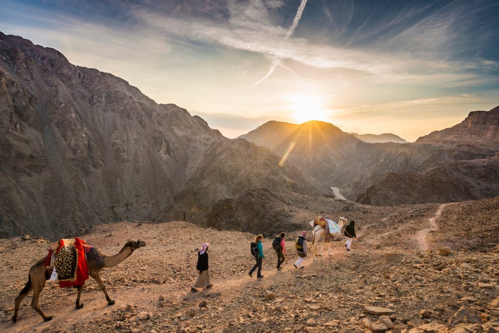 Egypt&rsquo;s Sinai Bedouins Send a Message to the World on Post COVID-19 World