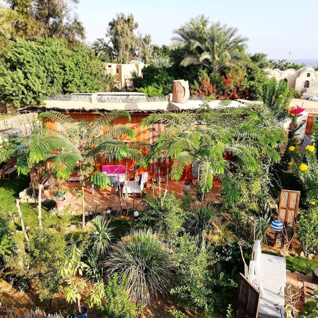 ‘Barefoot in Tunis’ Brings a Sustainable Living Experience to Fayoum