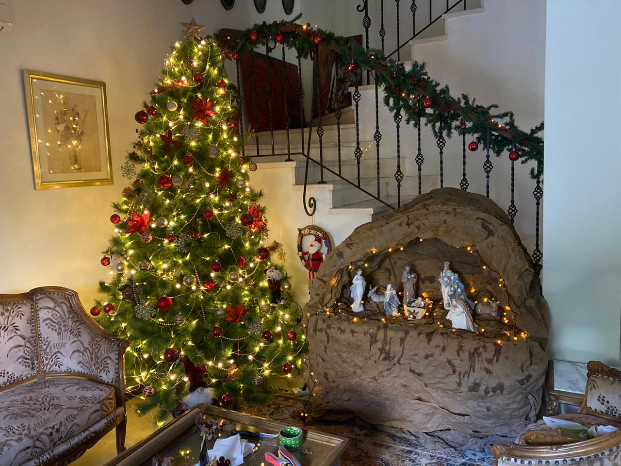 Spreading Holiday Spirit With This Compilation Of Christmas Trees In Egyptian Homes Egyptian Streets