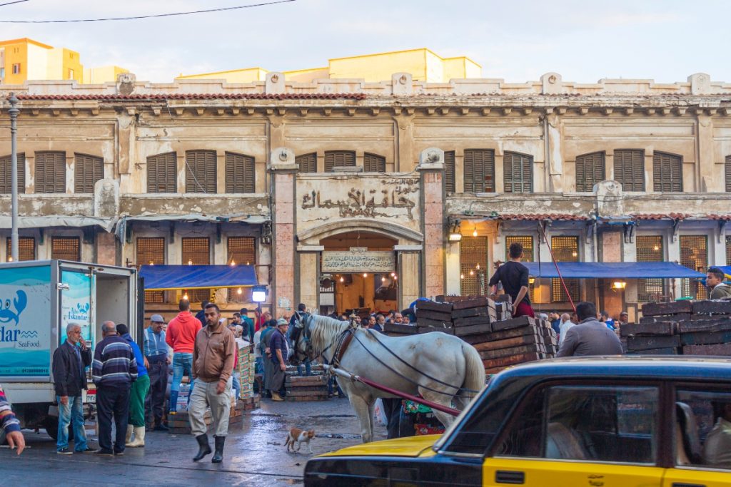 Beyond the Sea A Journey Inside Egypt’s Fish Markets Egyptian Streets