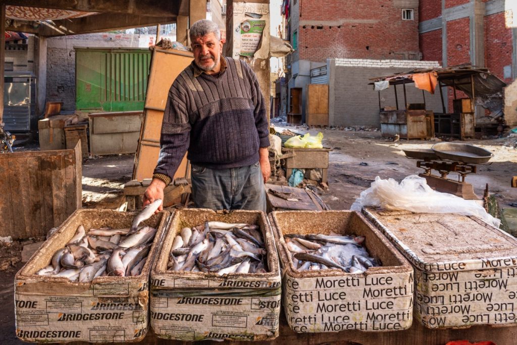 Beyond the Sea: A Journey Inside Egypt’s Fish Markets