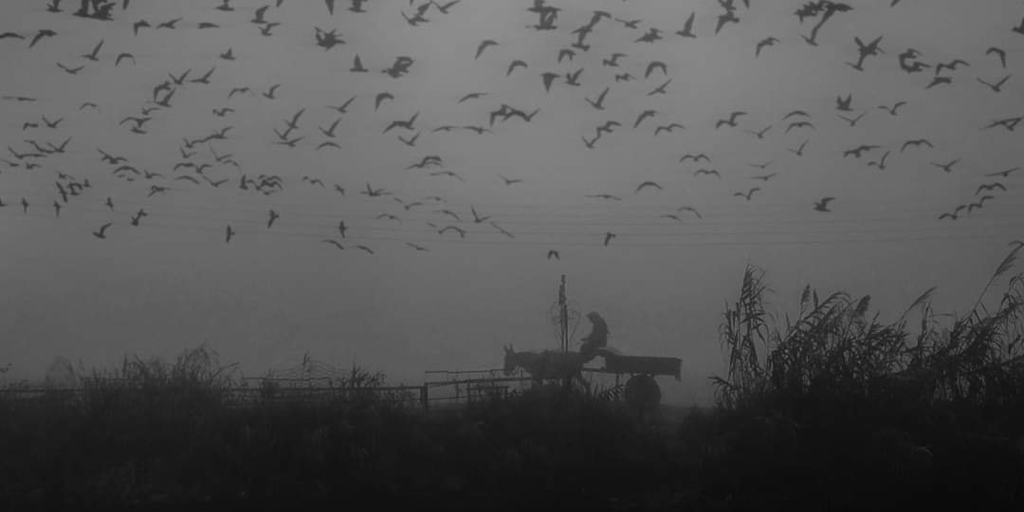 In Photos: Egyptian Photographer Captures the Haunting Beauty of Sleepy Towns