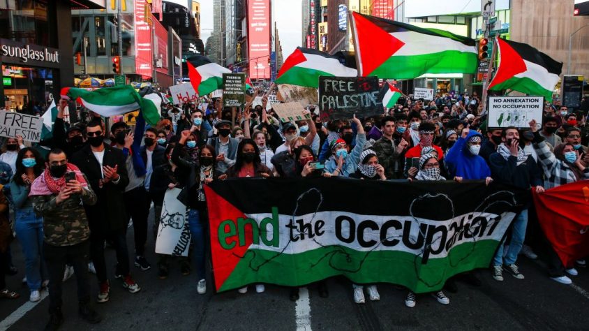 6 Palestinian Voices to Support and Amplify the #FreePalestine Movement