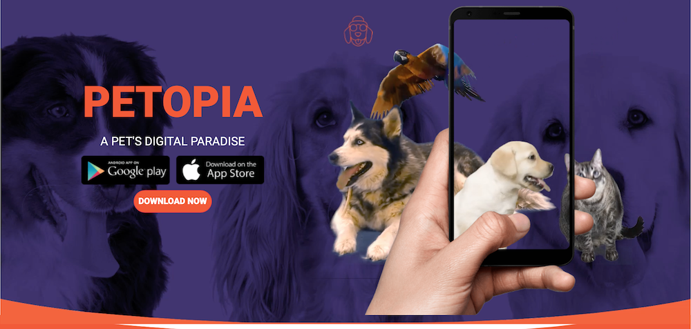 The New Petopia App Could Be Egypt's Tinder for Pets | Egyptian Streets