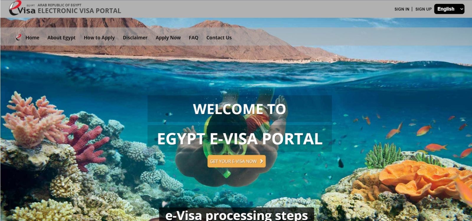 egypt tourism board contact