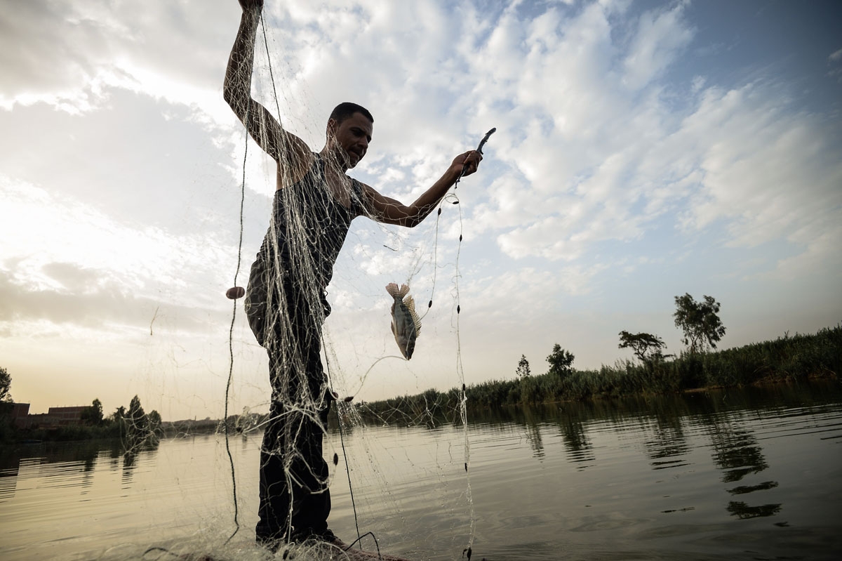 In Photos: Egyptian Fishermen Casting Nets from Dusk until Dawn