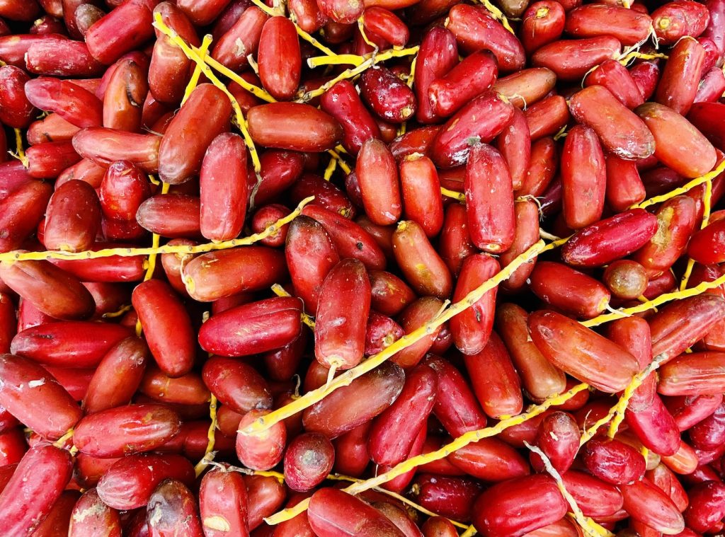 Fall Harvest Zaghloul Date Season in Egypt Egyptian Streets