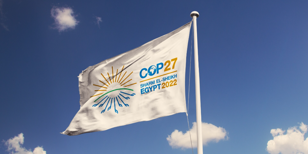 90 World Leaders to Attend COP27 in Egypt | Egyptian Streets