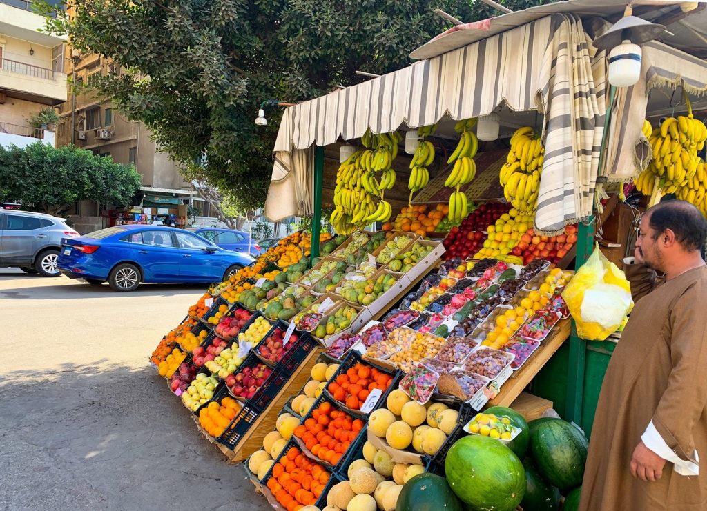 The Fruits of Life in Egypt Stories from a Fakahani Egyptian Streets